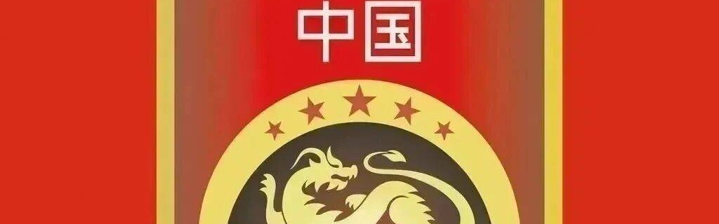 世界杯英雄执掌国足？邵佳一或成救世主，平民教头携德甲经验强势上位！